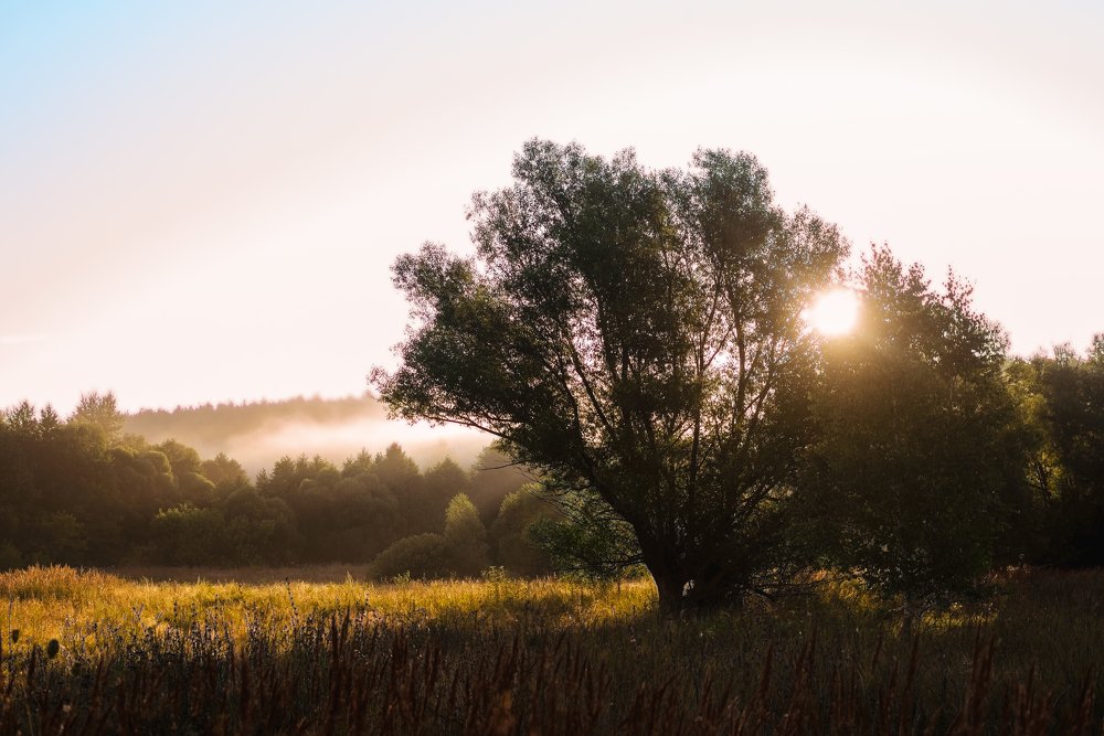 Photograph by Марина Колпакова