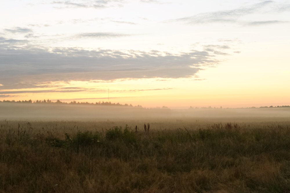 Photograph by Марина Колпакова