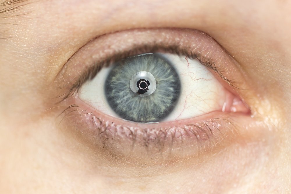 Photograph by Nitzan Gur