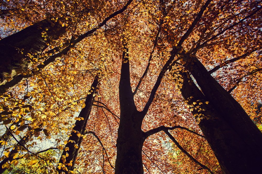 Photograph by Nitzan Gur