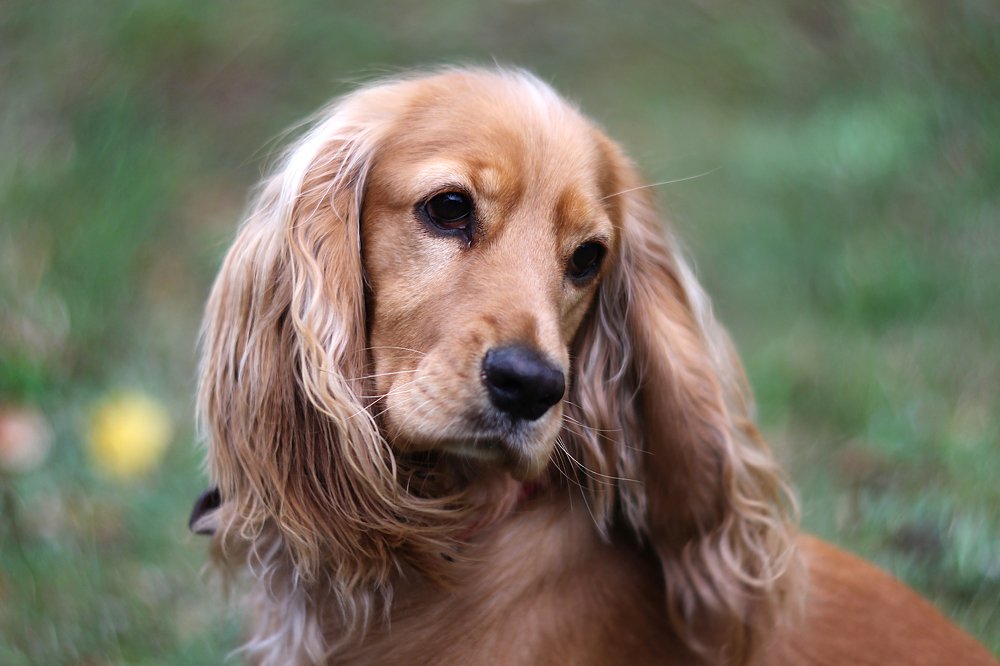 Photograph by Anna Suchcicka