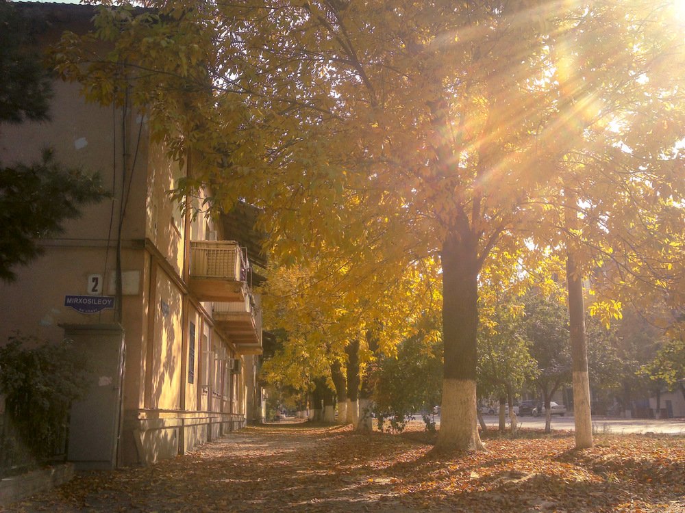 Photograph by said-art