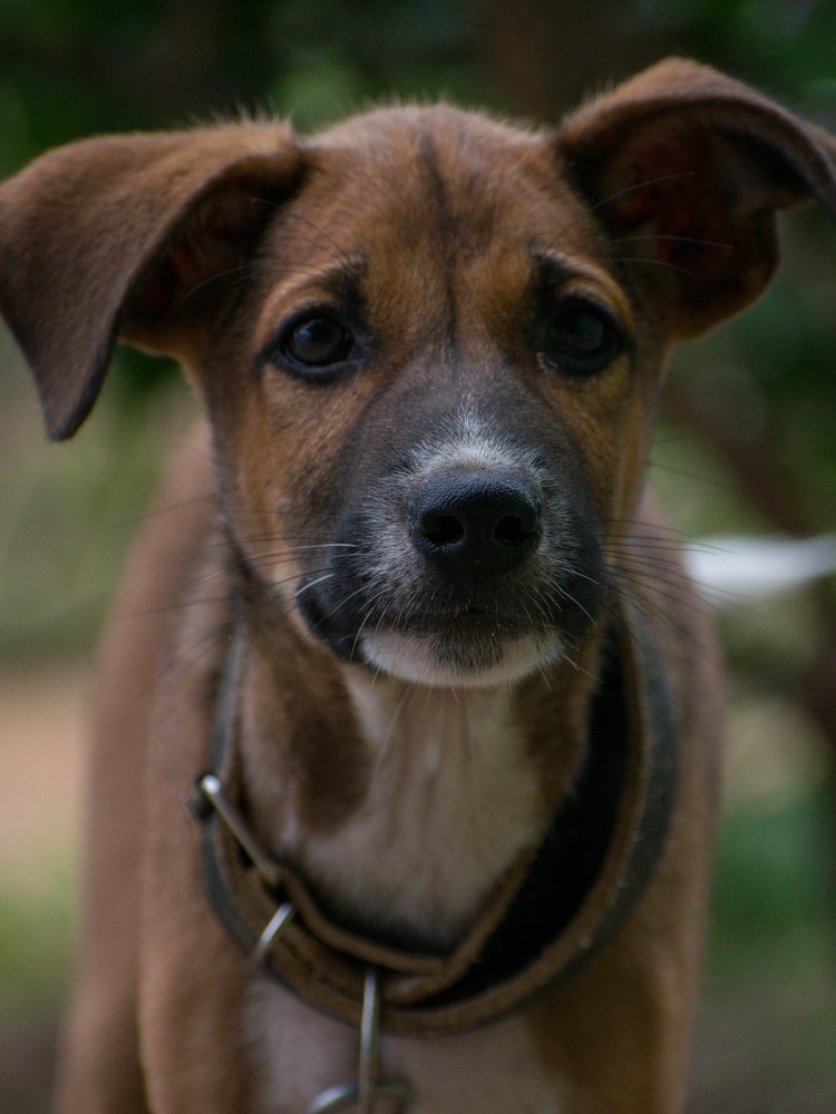 Photograph by PRABANJAN KARUPPUSAMY