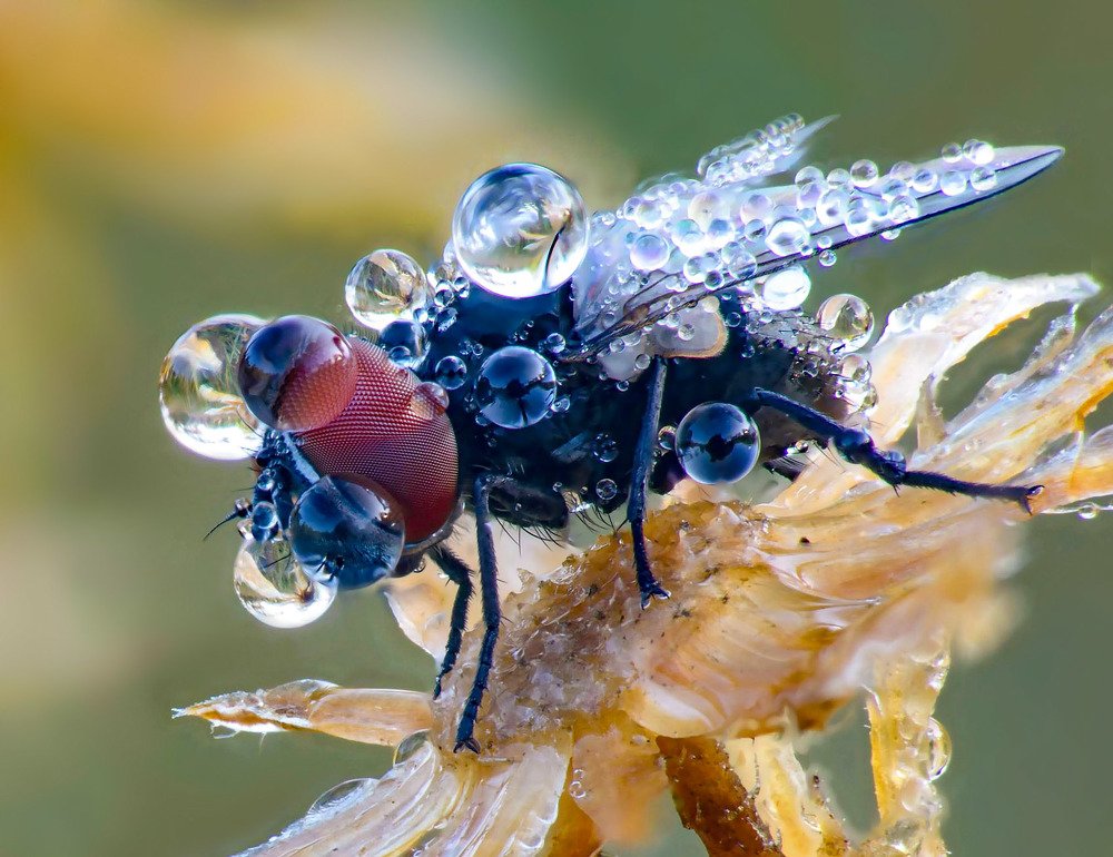 Photograph by Сергей Рубан