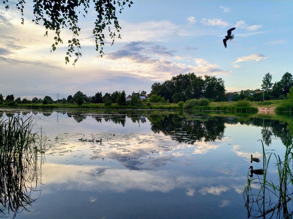 Photograph by Заира