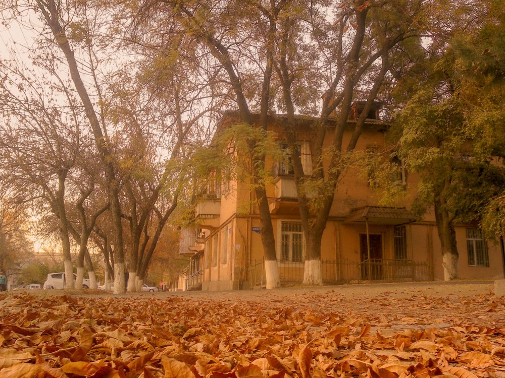 Photograph by said-art