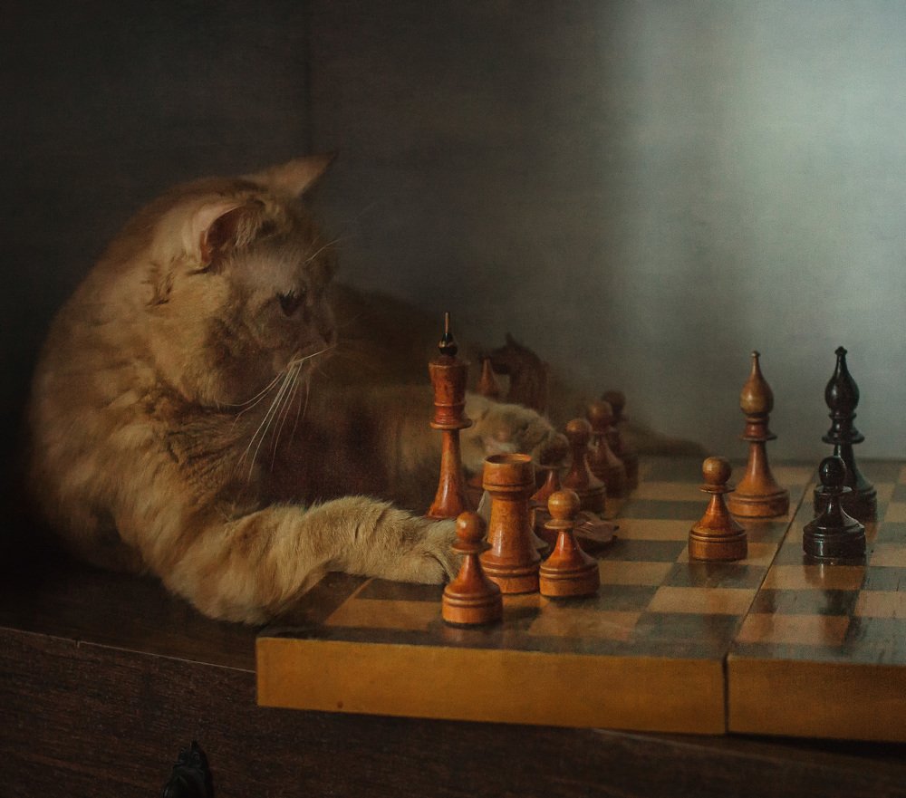 Photograph by Анна Петина