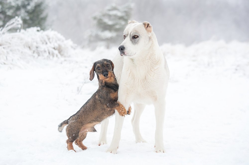 Photograph by Ольга Мурзина