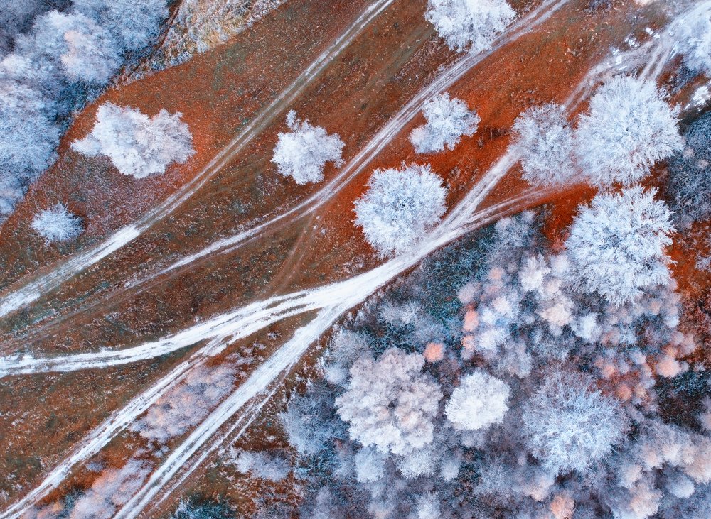 Photograph by Mihai Romeo Bogdan