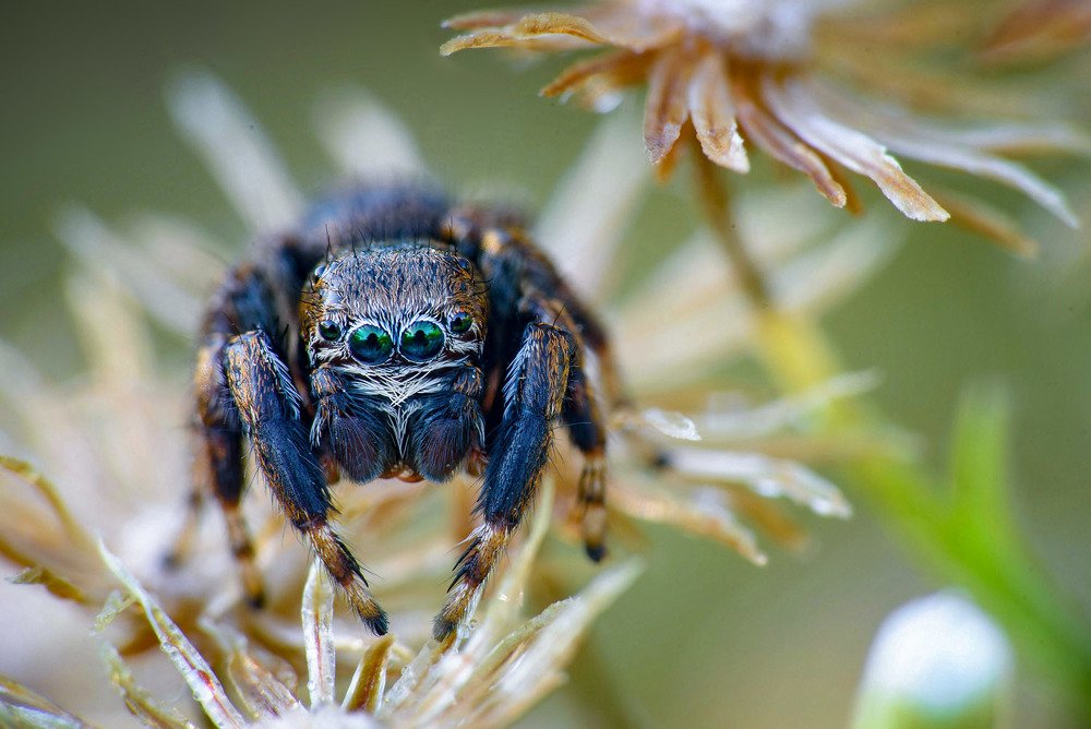 Photograph by Сергей Рубан