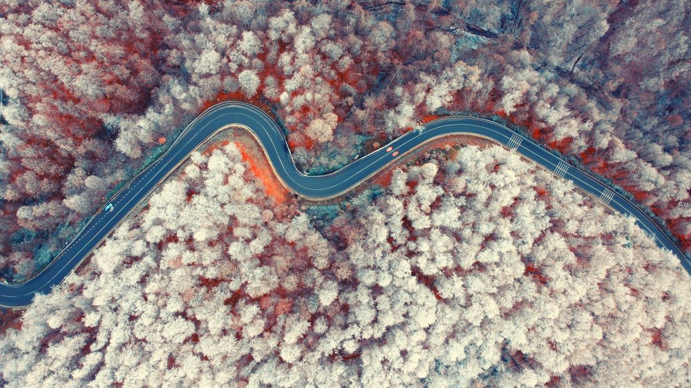 Photograph by Mihai Romeo Bogdan