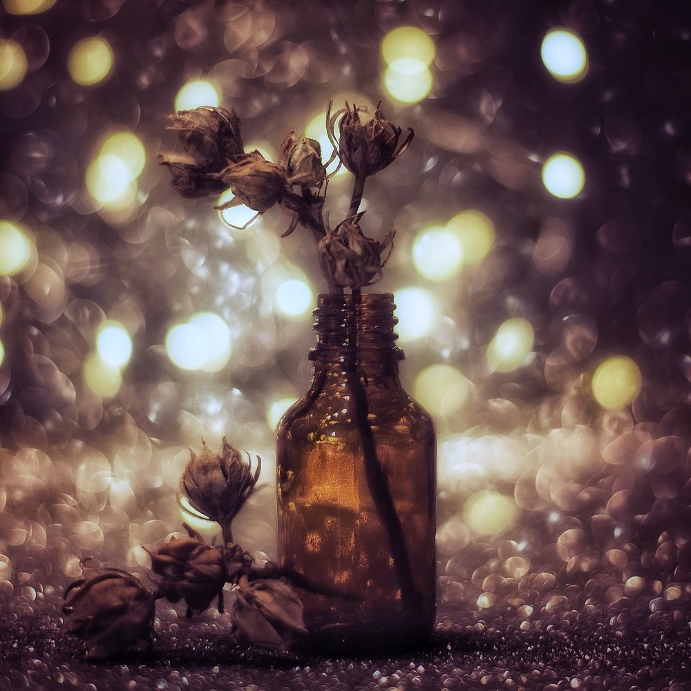 Photograph by Алла Василенко