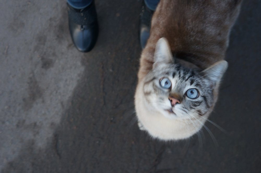 Photograph by Любовь Новикова