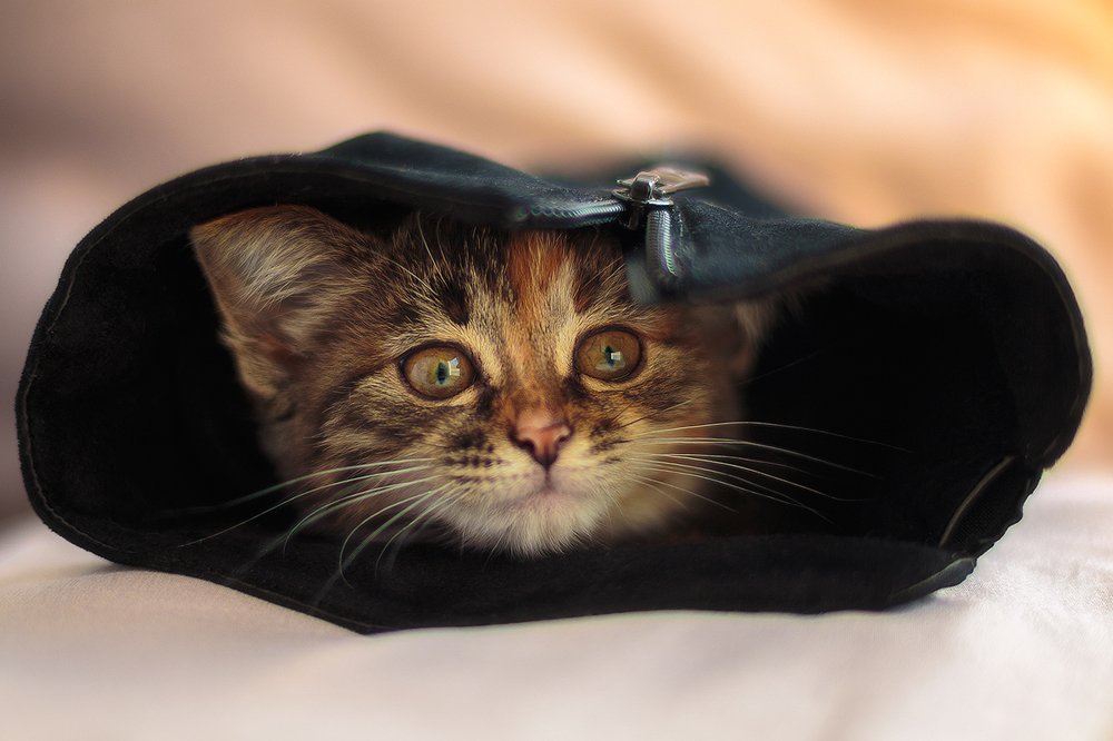 Photograph by Александр Шульга