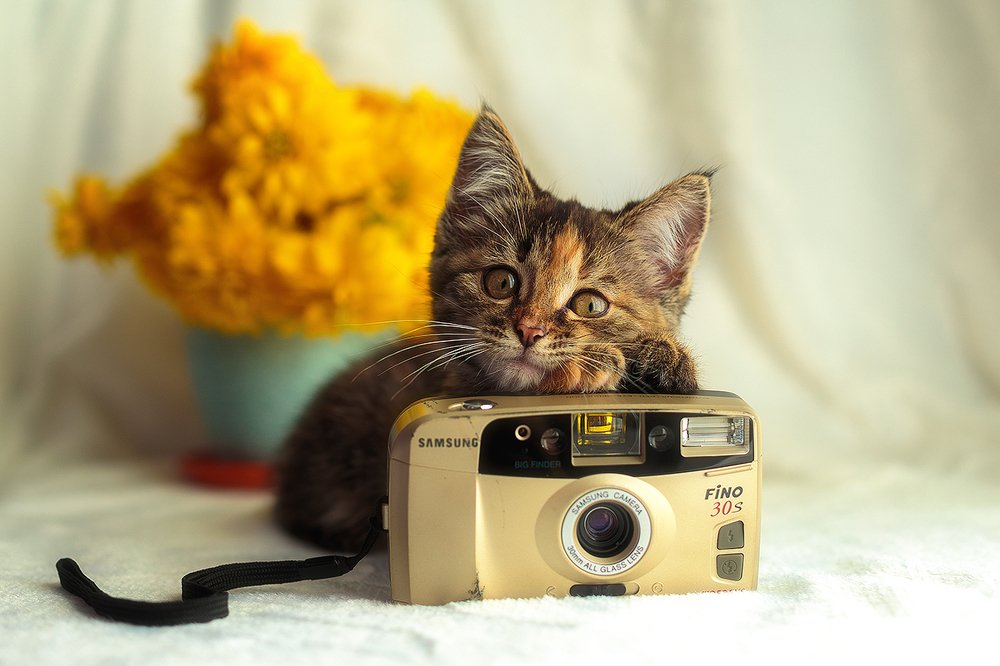 Photograph by Александр Шульга