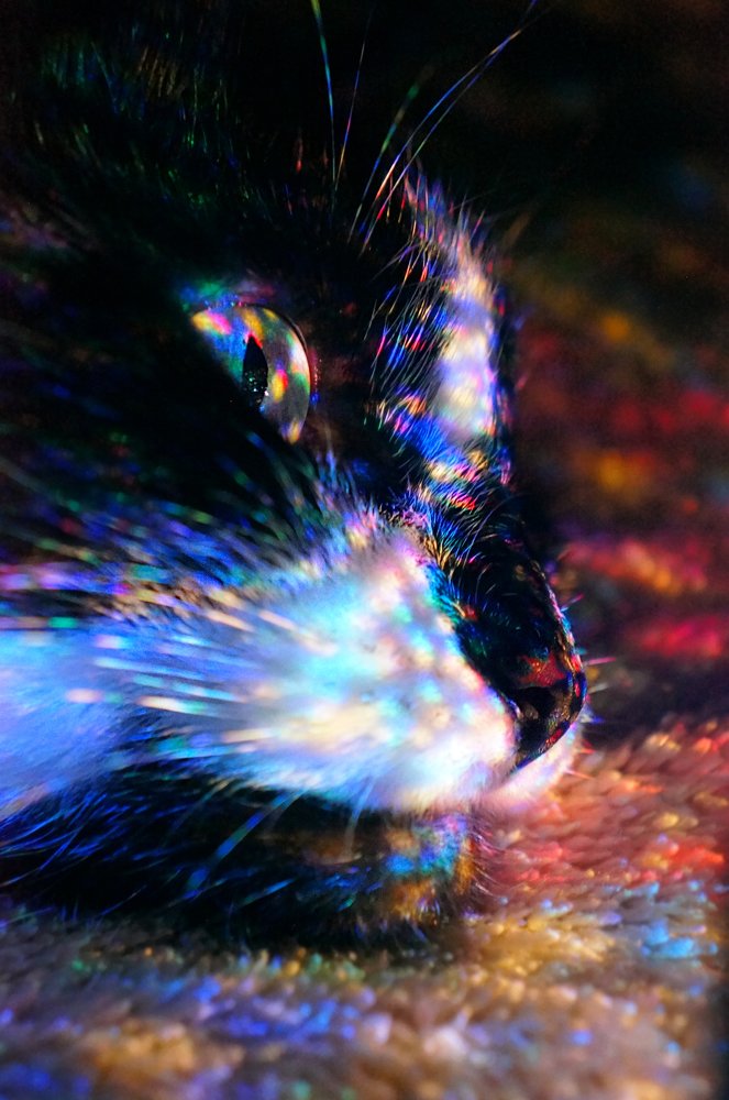 Photograph by Любовь Новикова