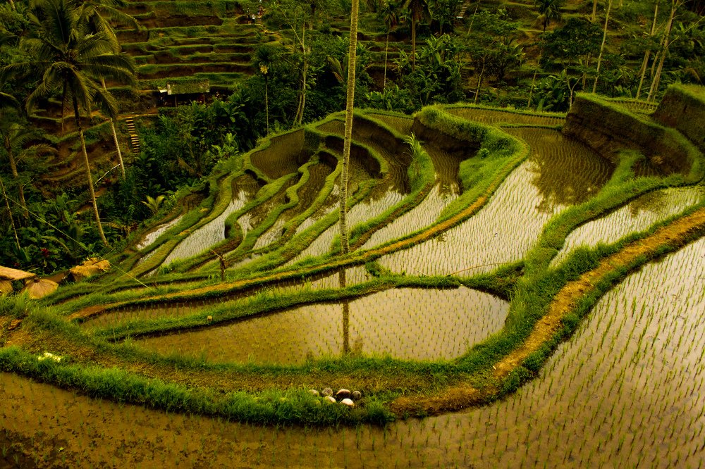 Photograph by Yana Shaforostova