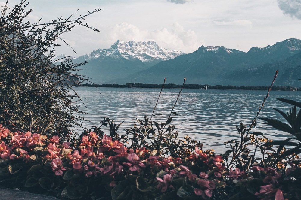 Photograph by Yana Shaforostova