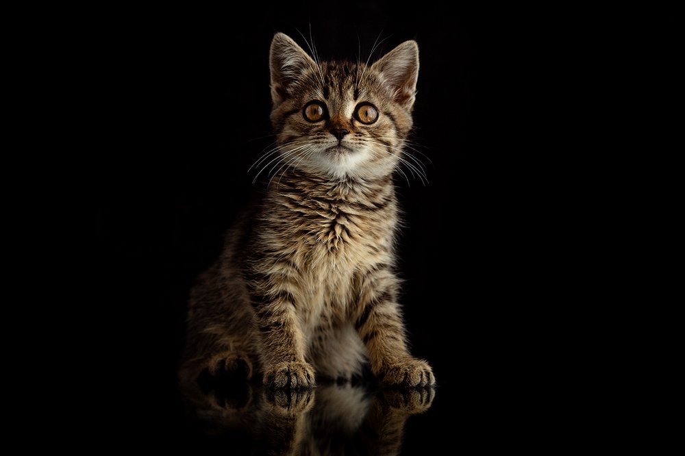 Photograph by Александр Шульга