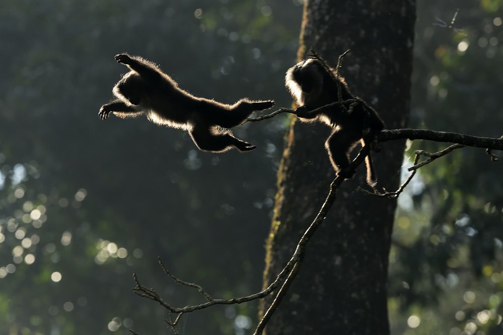 Photograph by Ravalnath Joshi