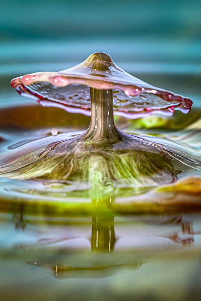 Photograph by Joao R Cortez