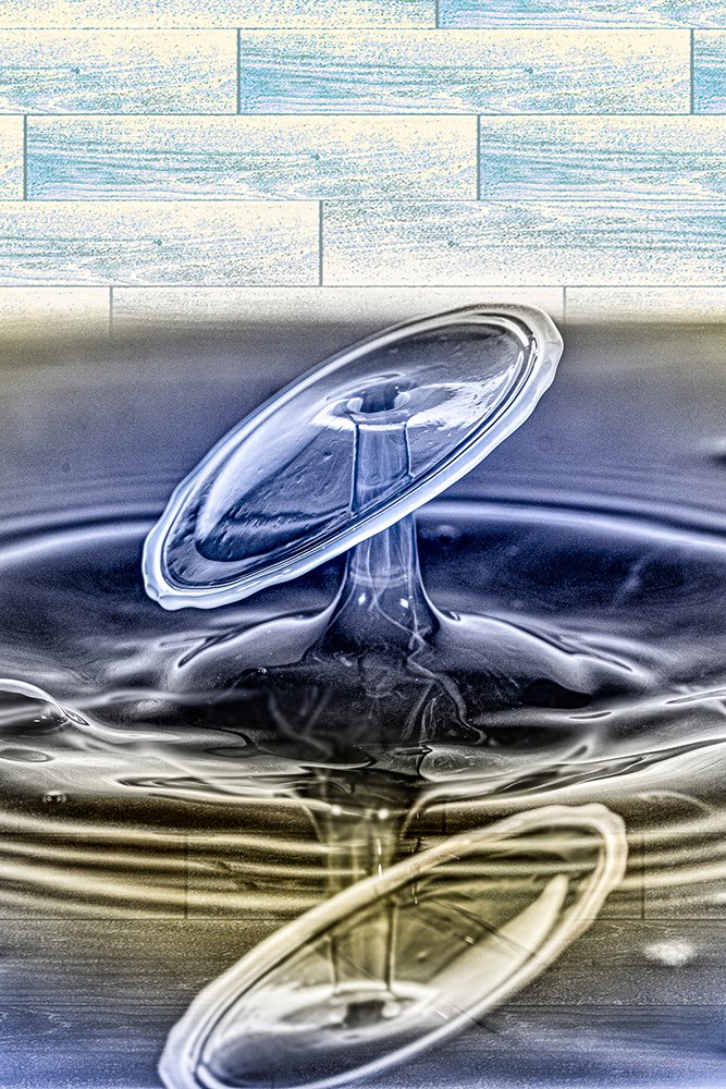 Photograph by Joao R Cortez