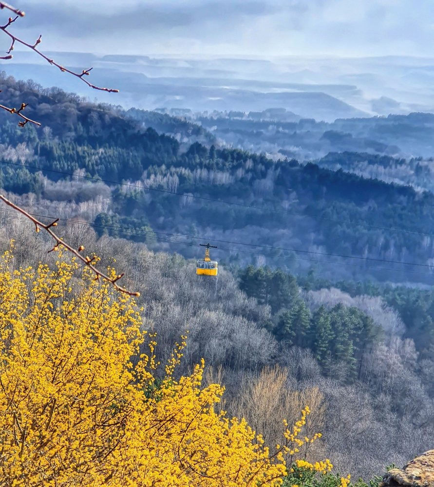 Photograph by Анатолий