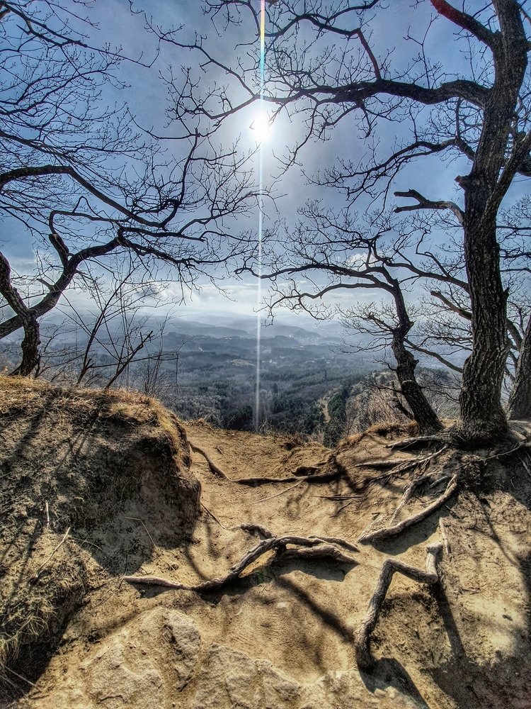 Photograph by Анатолий