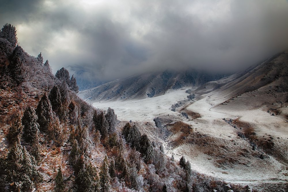 Страшная сказка