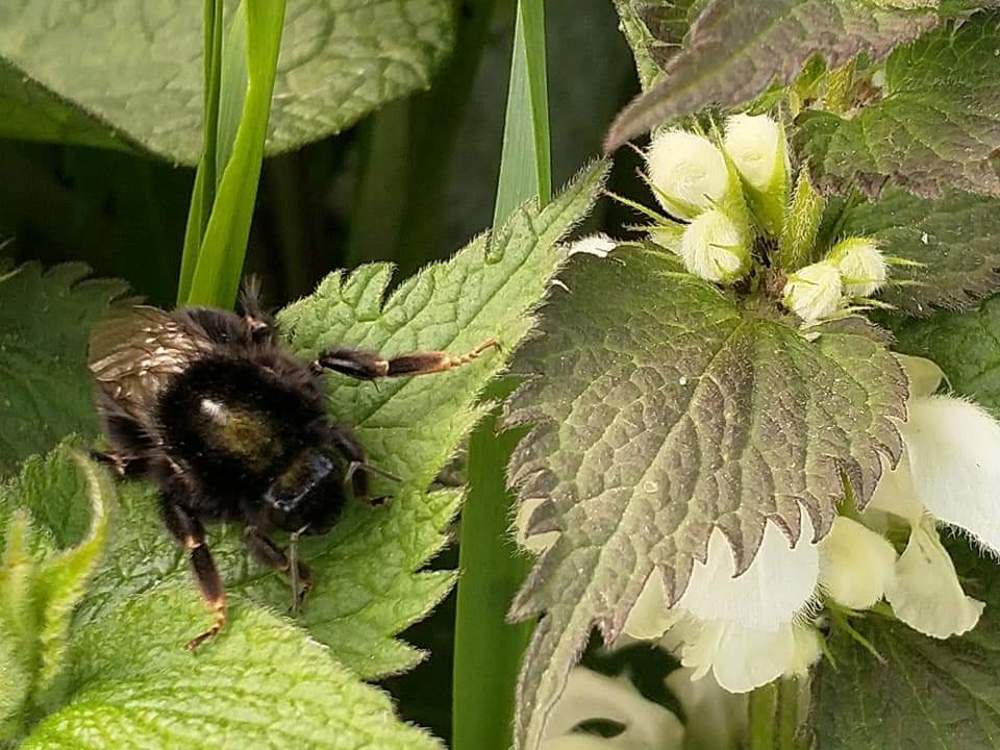 Photograph by Заира