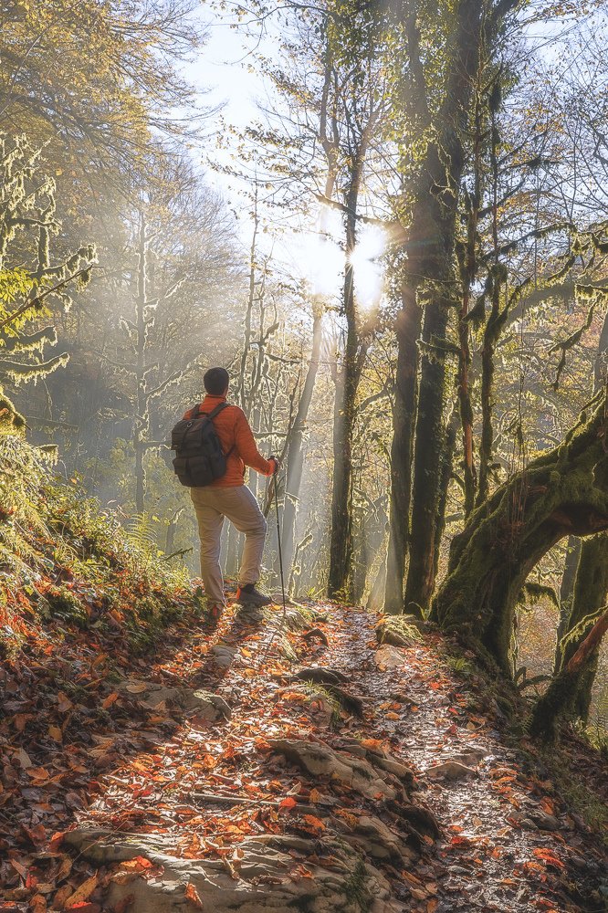 Photograph by Сергей Шабанов