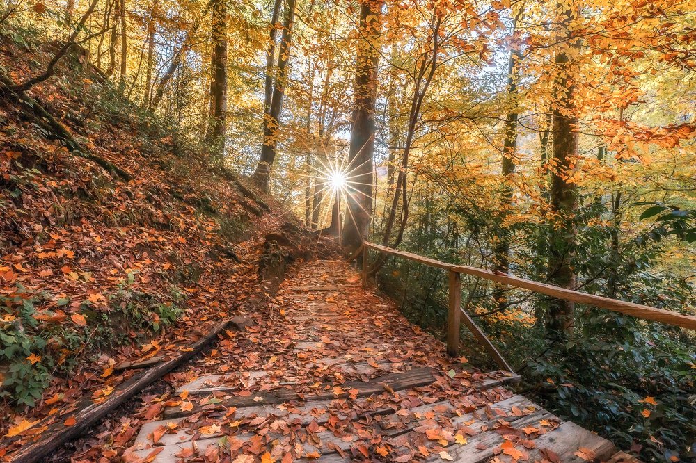 Photograph by Сергей Шабанов