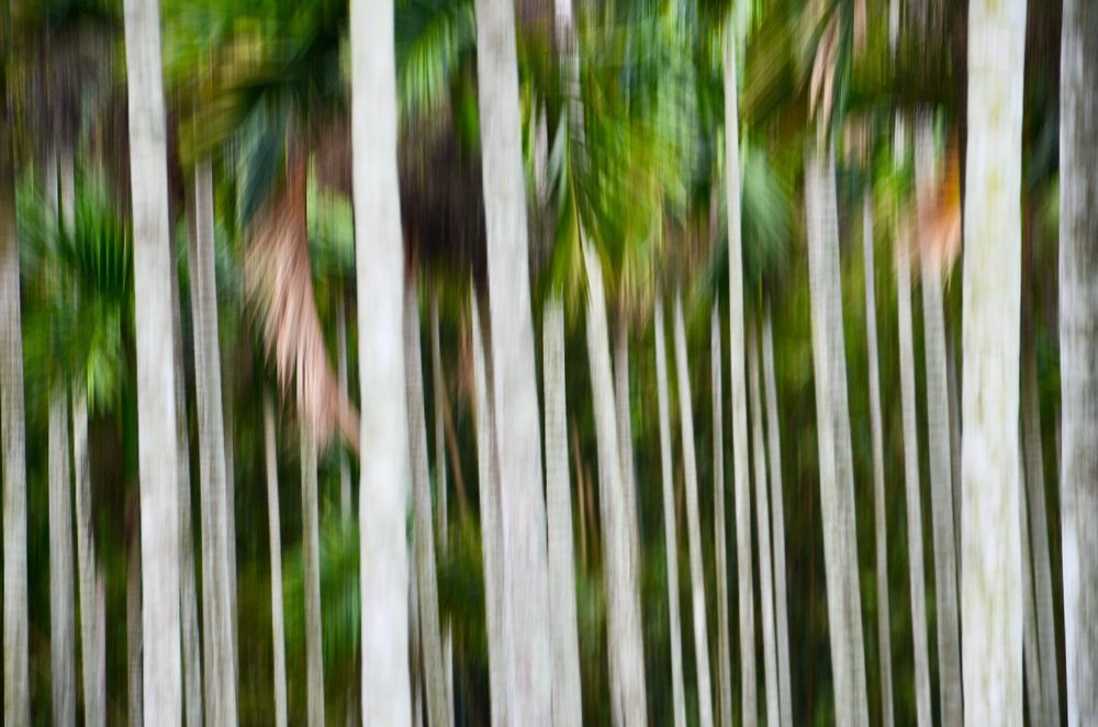 Photograph by Yng-Jaw Jiing