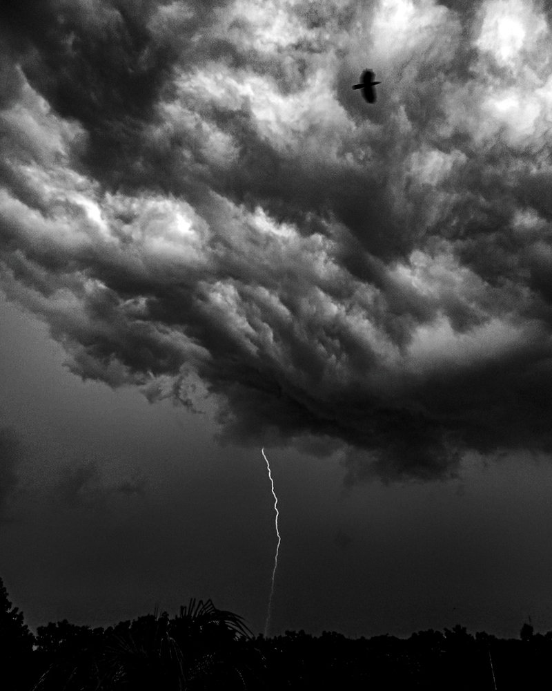 Photo #5308906