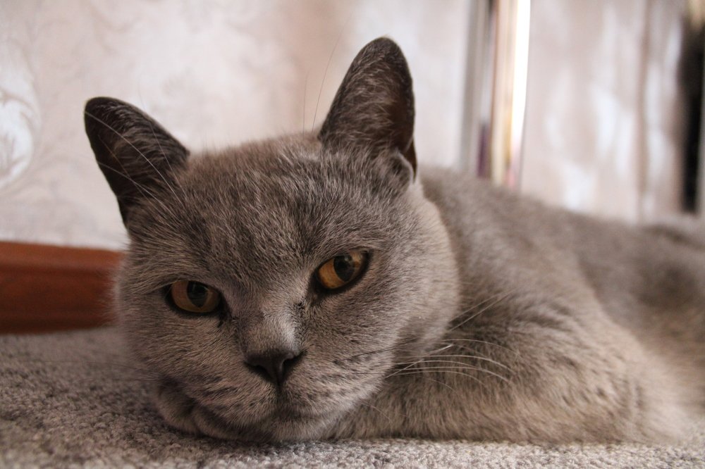 Photograph by Марина Ескова