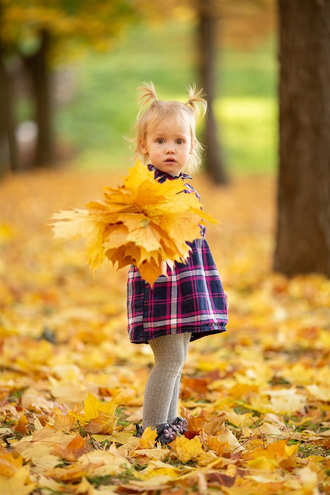 Photograph by Александр Шульга