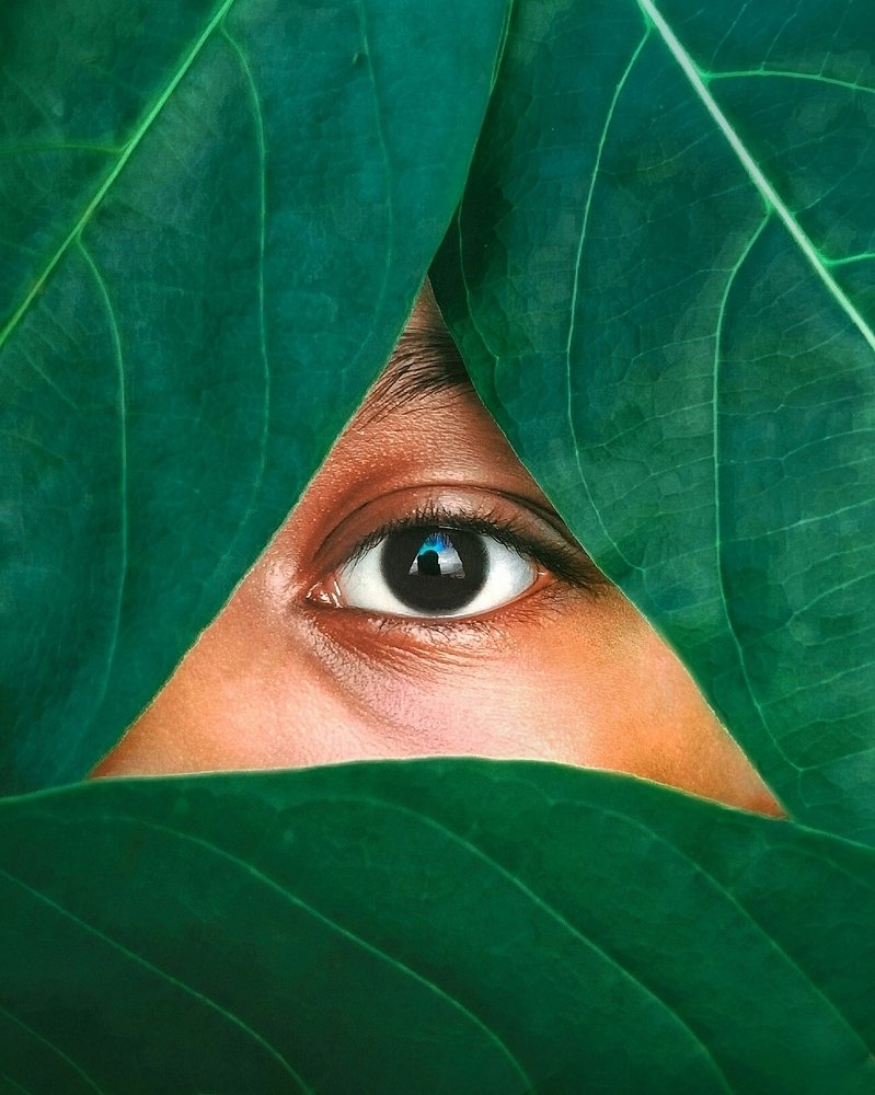 Photograph by Souvik Paul
