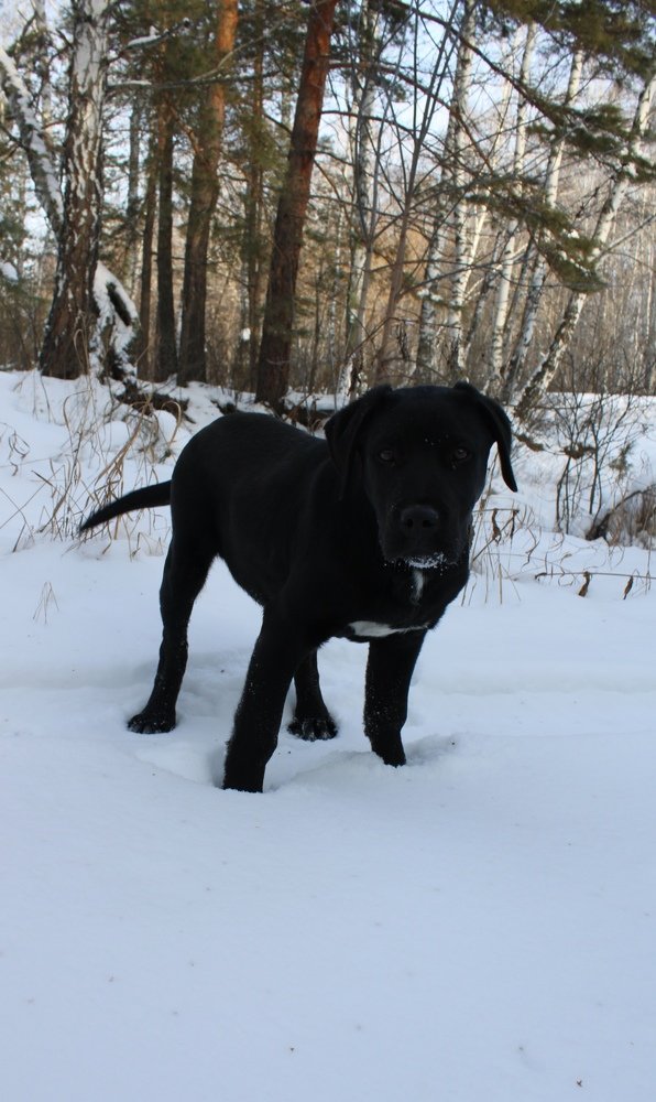 Photograph by Марина Ескова