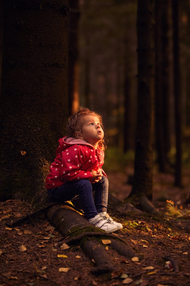 Photograph by Виталий Кострица