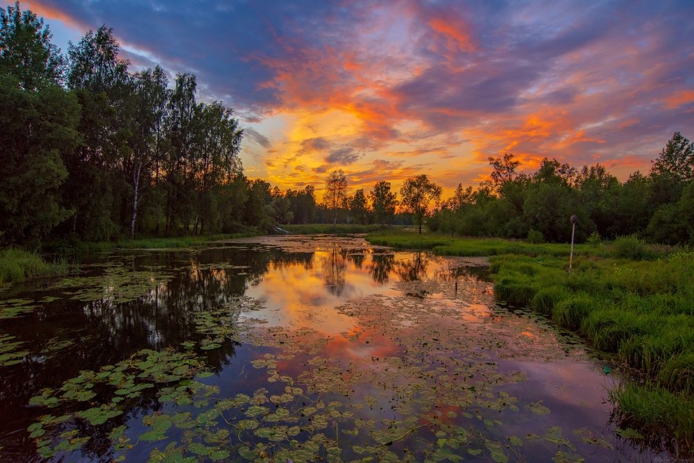 Photograph by Дарья Меркулова