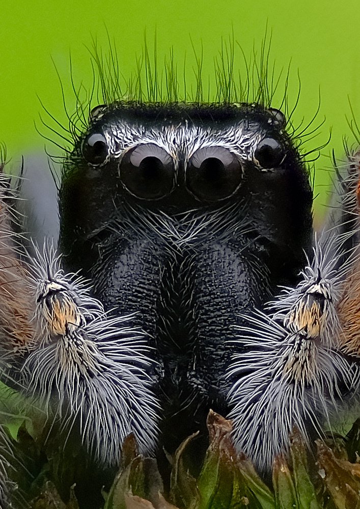 Photograph by Юрьевич Юрий