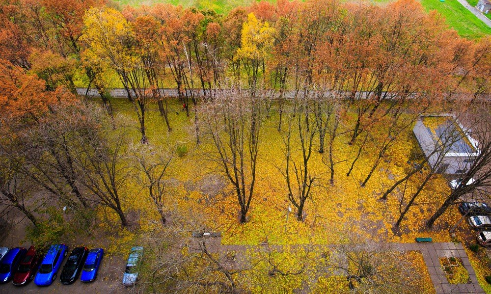 Фотография автора Олег Смирнов