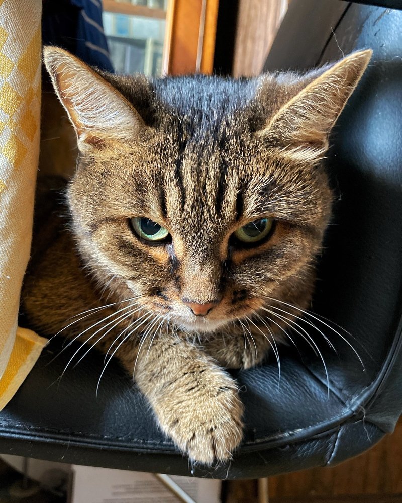 Фотография автора Кирилл Литовский