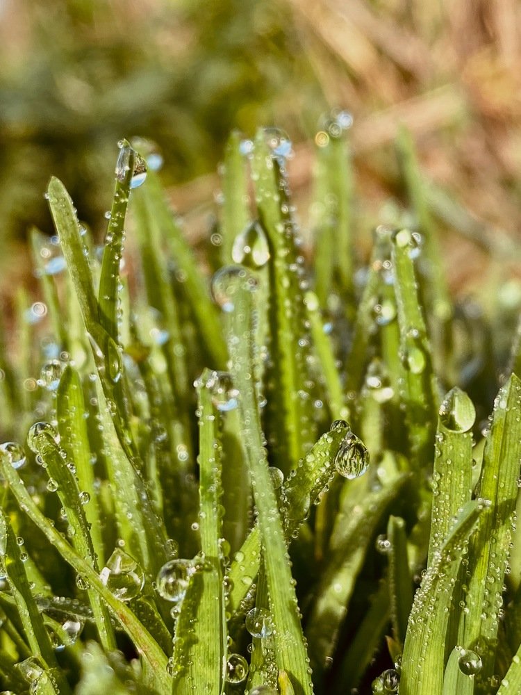 Photograph by Nastja Asipkina