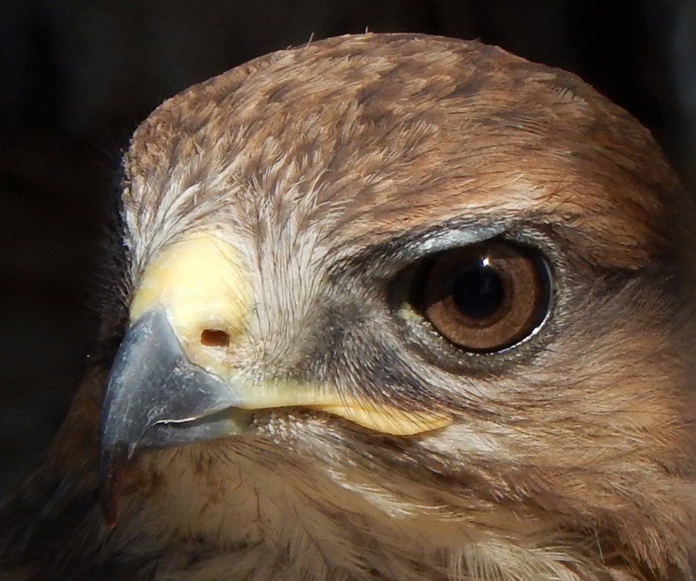 Photograph by Ирина Самойленко