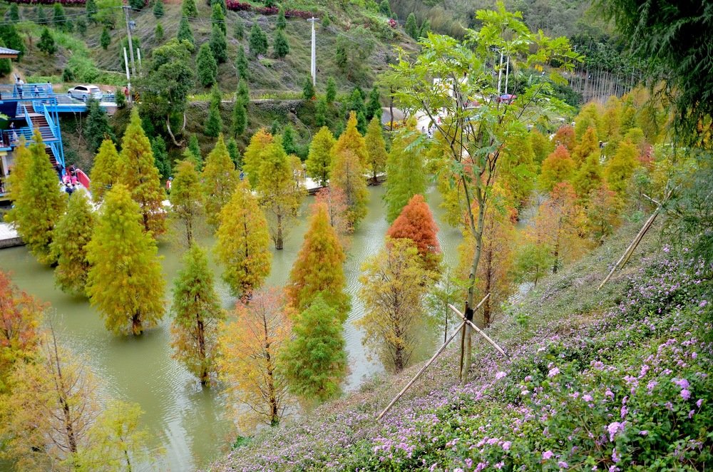 Photograph by Yng-Jaw Jiing