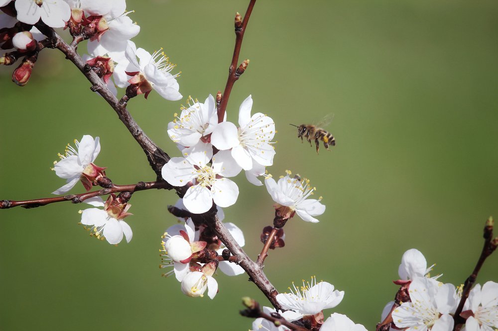 Photograph by Александр Косарев