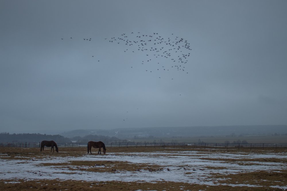 Photograph by Никита Симонец