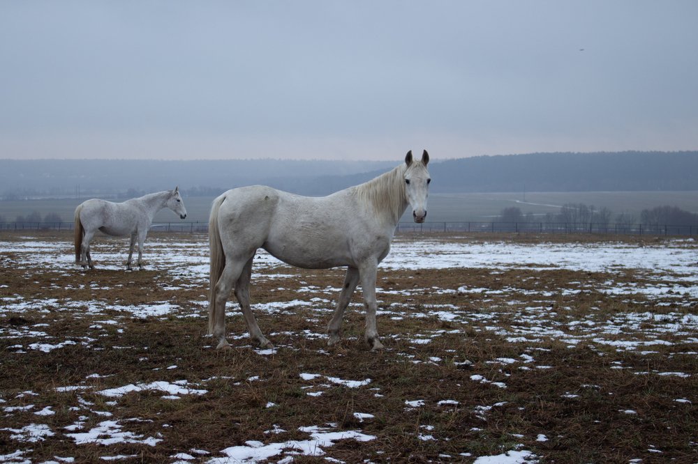 Photograph by Никита Симонец