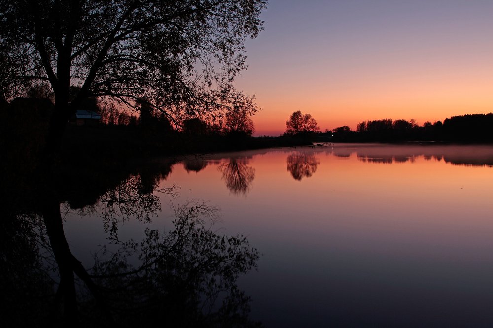 Photograph by Алексей